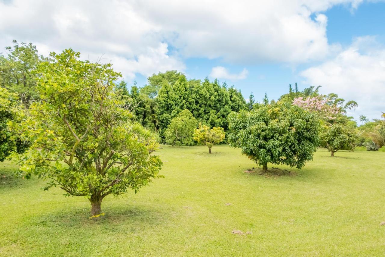 Off-Grid Getaway With Ocean Views In Paradise Pahoa Esterno foto