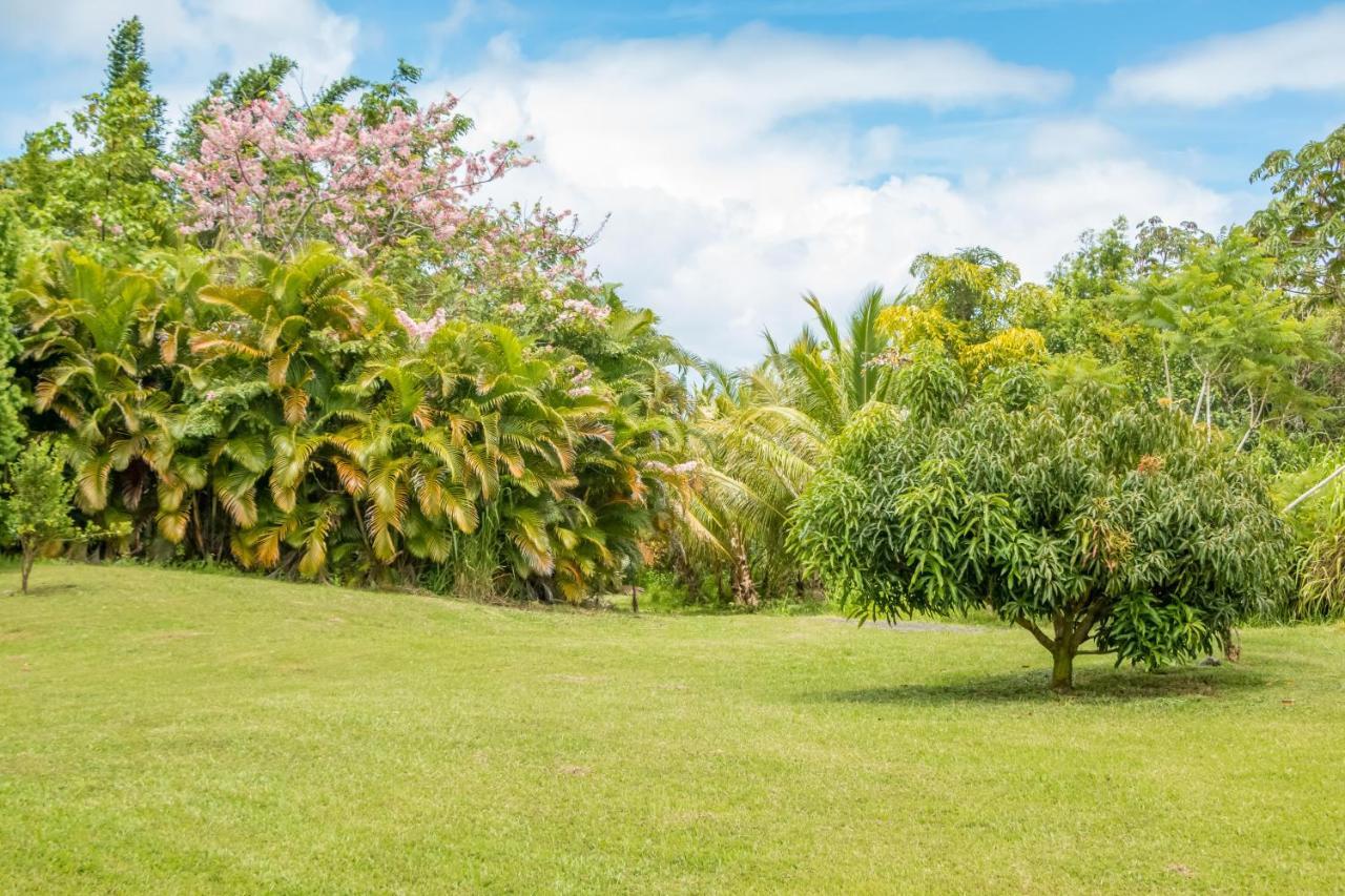 Off-Grid Getaway With Ocean Views In Paradise Pahoa Esterno foto