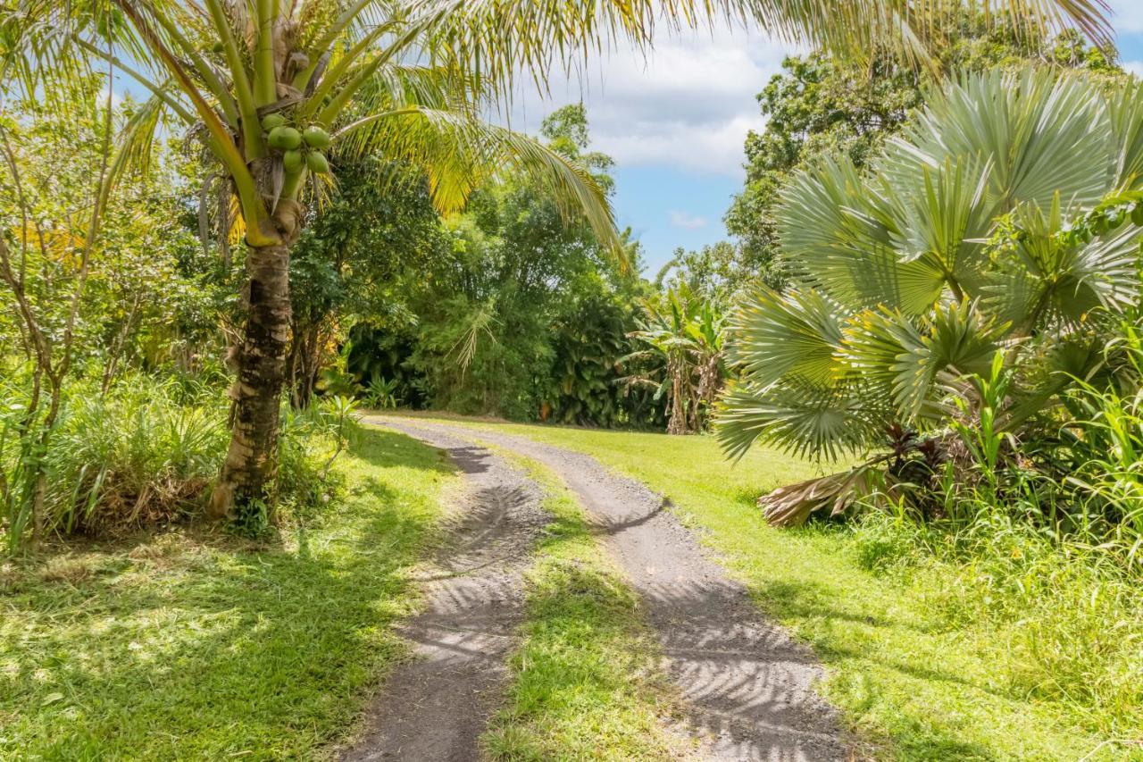 Off-Grid Getaway With Ocean Views In Paradise Pahoa Esterno foto