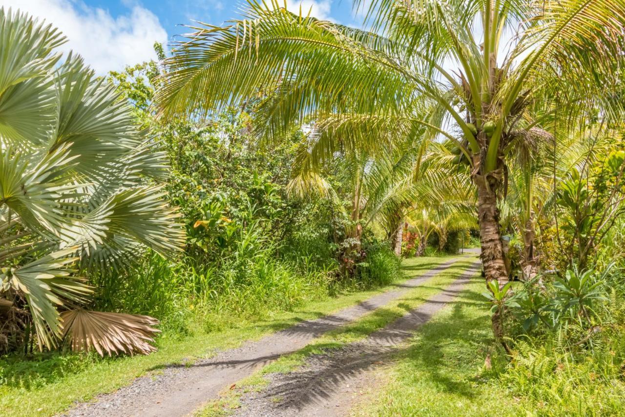 Off-Grid Getaway With Ocean Views In Paradise Pahoa Esterno foto