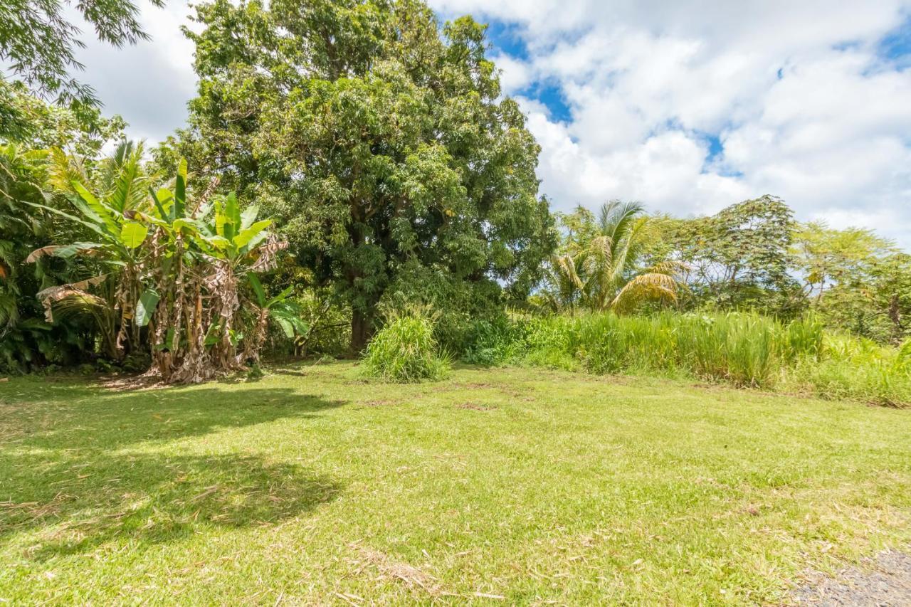 Off-Grid Getaway With Ocean Views In Paradise Pahoa Esterno foto