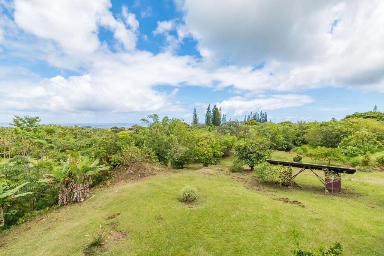 Off-Grid Getaway With Ocean Views In Paradise Pahoa Esterno foto