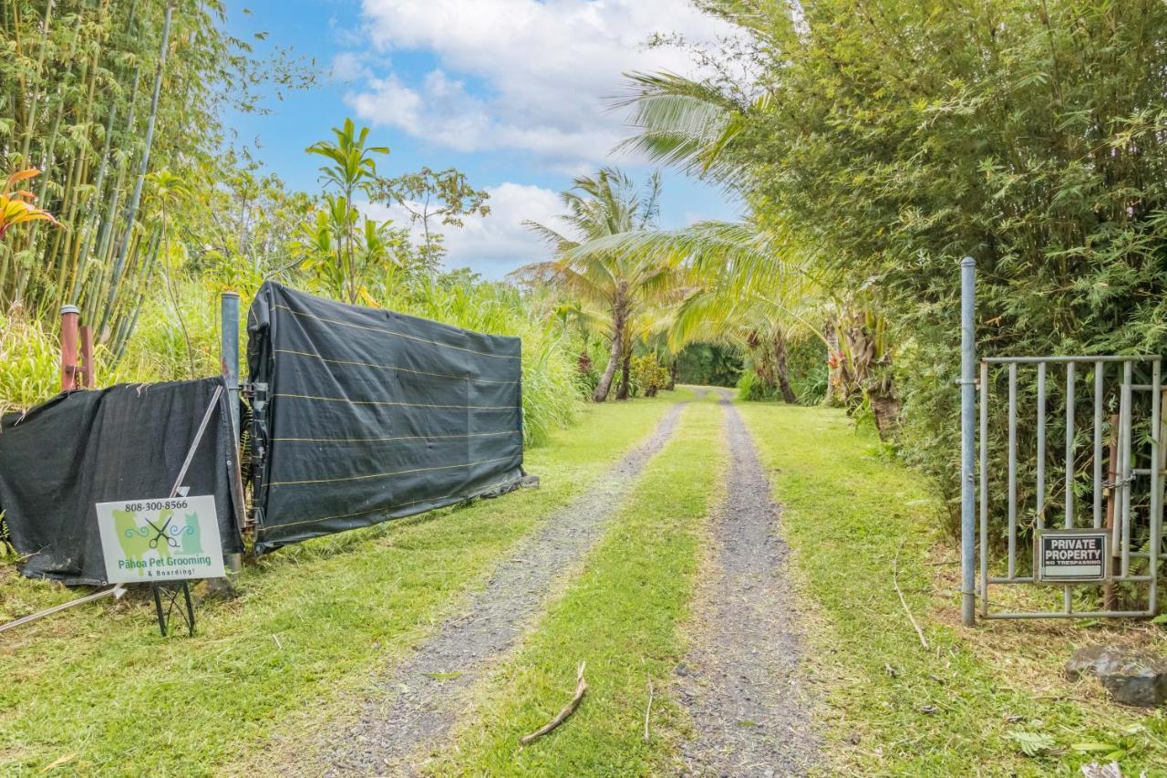 Off-Grid Getaway With Ocean Views In Paradise Pahoa Esterno foto