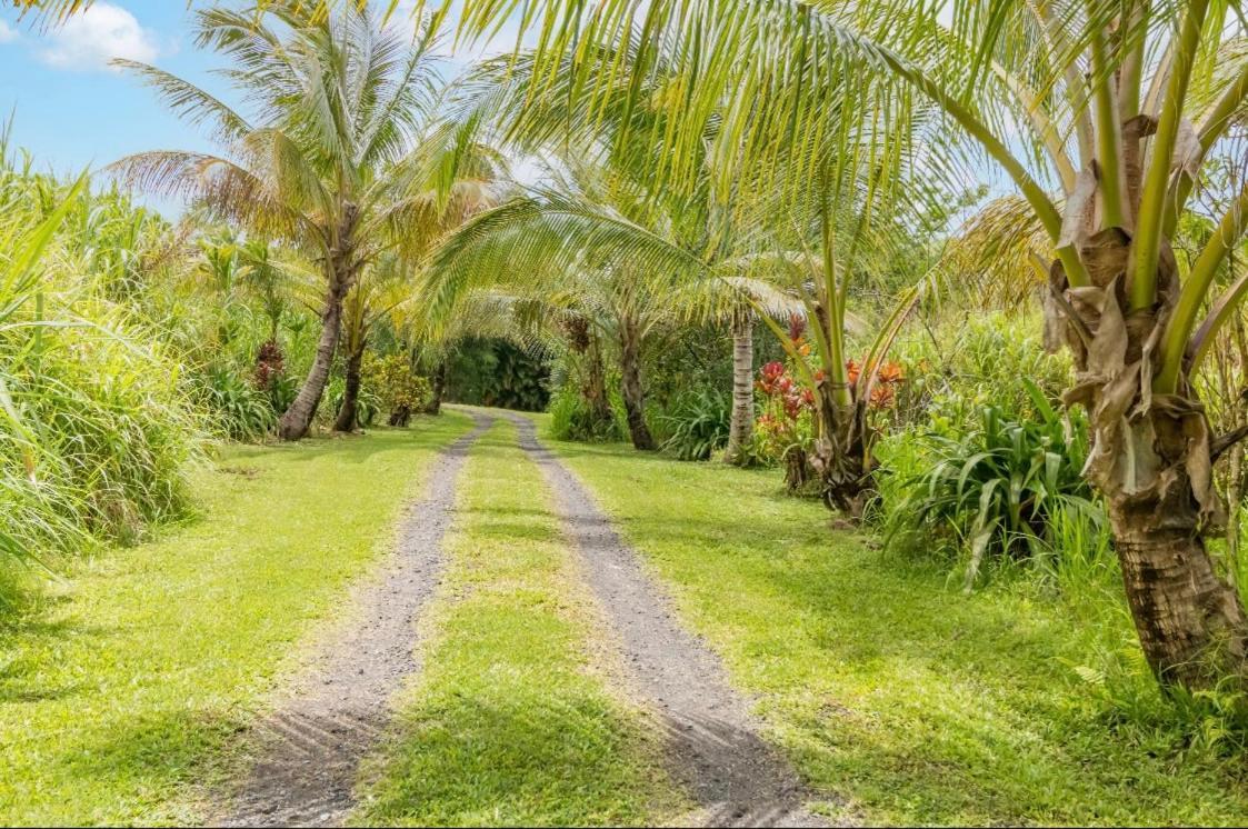 Off-Grid Getaway With Ocean Views In Paradise Pahoa Esterno foto