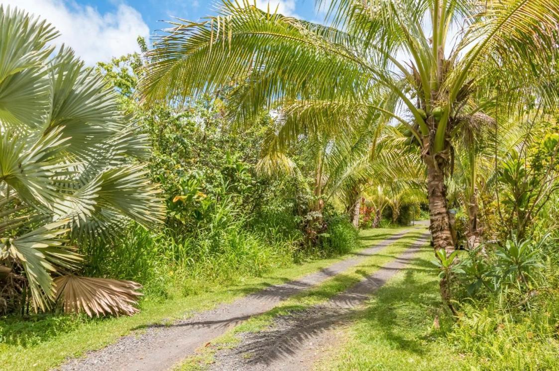 Off-Grid Getaway With Ocean Views In Paradise Pahoa Esterno foto